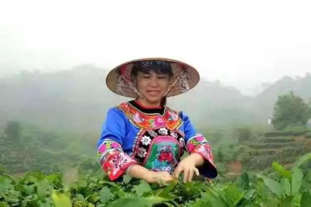 【梧州工匠】劉錦芳：鉆研和創(chuàng)新，帶領(lǐng)鄉(xiāng)親發(fā)家致富