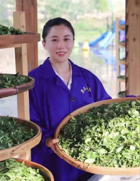 【梧州工匠】石濡菲：擇一茶，修一技，終一生