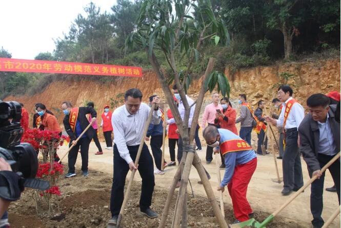 植樹造林，這群楷模這樣做