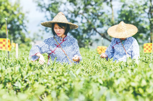 國(guó)家批復(fù)同意，梧州籌建！