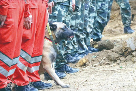 消防、武警、摩托車運輸隊等多方力量聯(lián)合搜救｜東航客機墜毀事故救援現(xiàn)場直擊