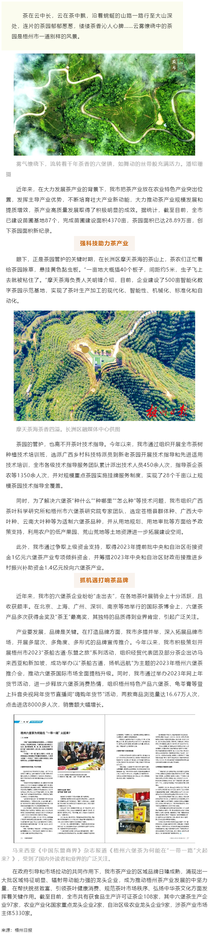 品牌強茶驅動特色產業(yè)提質增效丨梧州市加快推動茶產業(yè)高質量發(fā)展.png
