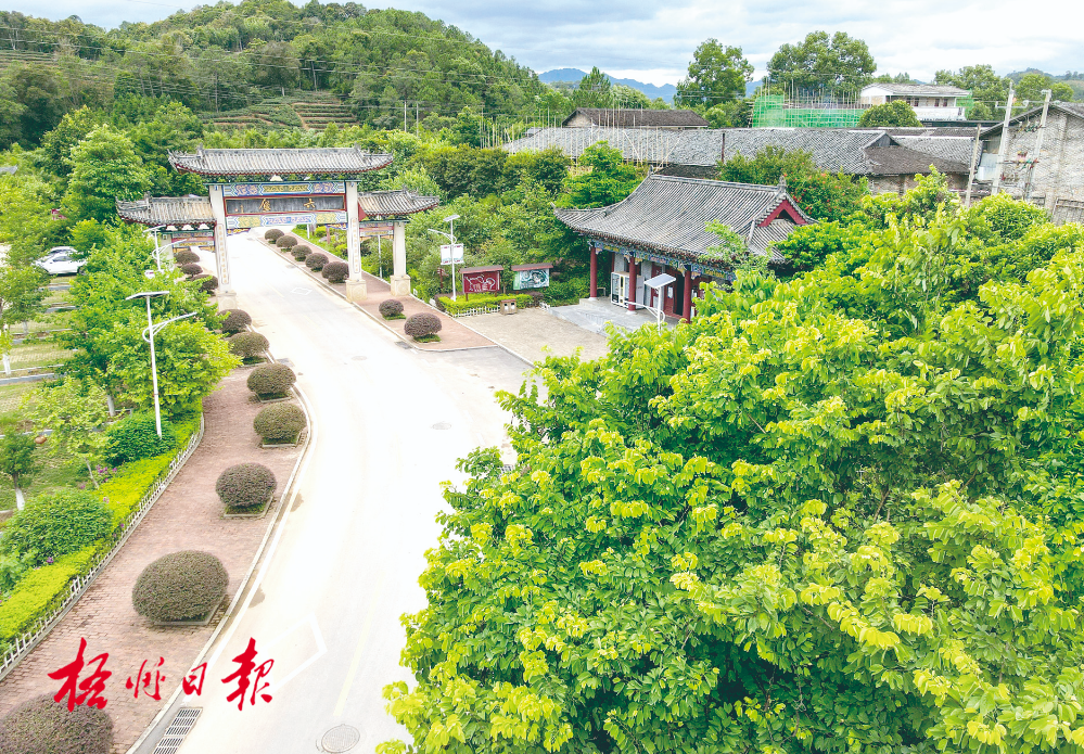 梧州全市生態(tài)茶園面積達(dá)33.34萬畝！