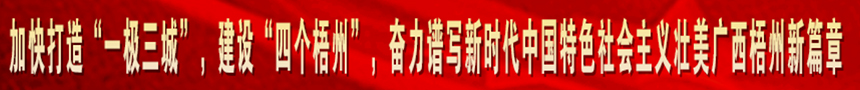 加快打造“一級(jí)三城市”，建設(shè)“四個(gè)梧州”，奮力譜寫(xiě)新時(shí)代中國(guó)特色社會(huì)主義壯美廣西梧州新篇章